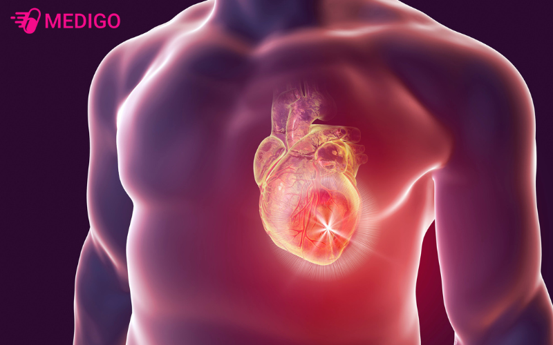 Cu-cai-ngua-giup-giam-nguy-co-mac-cac-benh-tim-mach