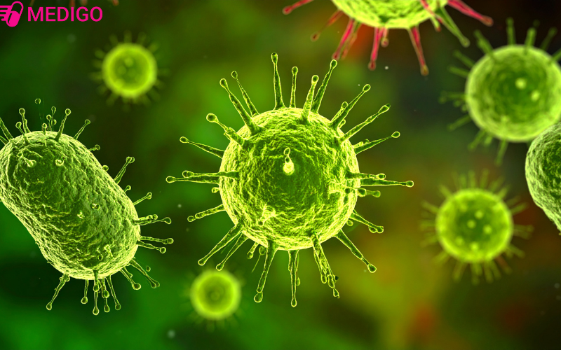 Dich-ta-lon-Chau-Phi-do-virus-ASF-gay-ra