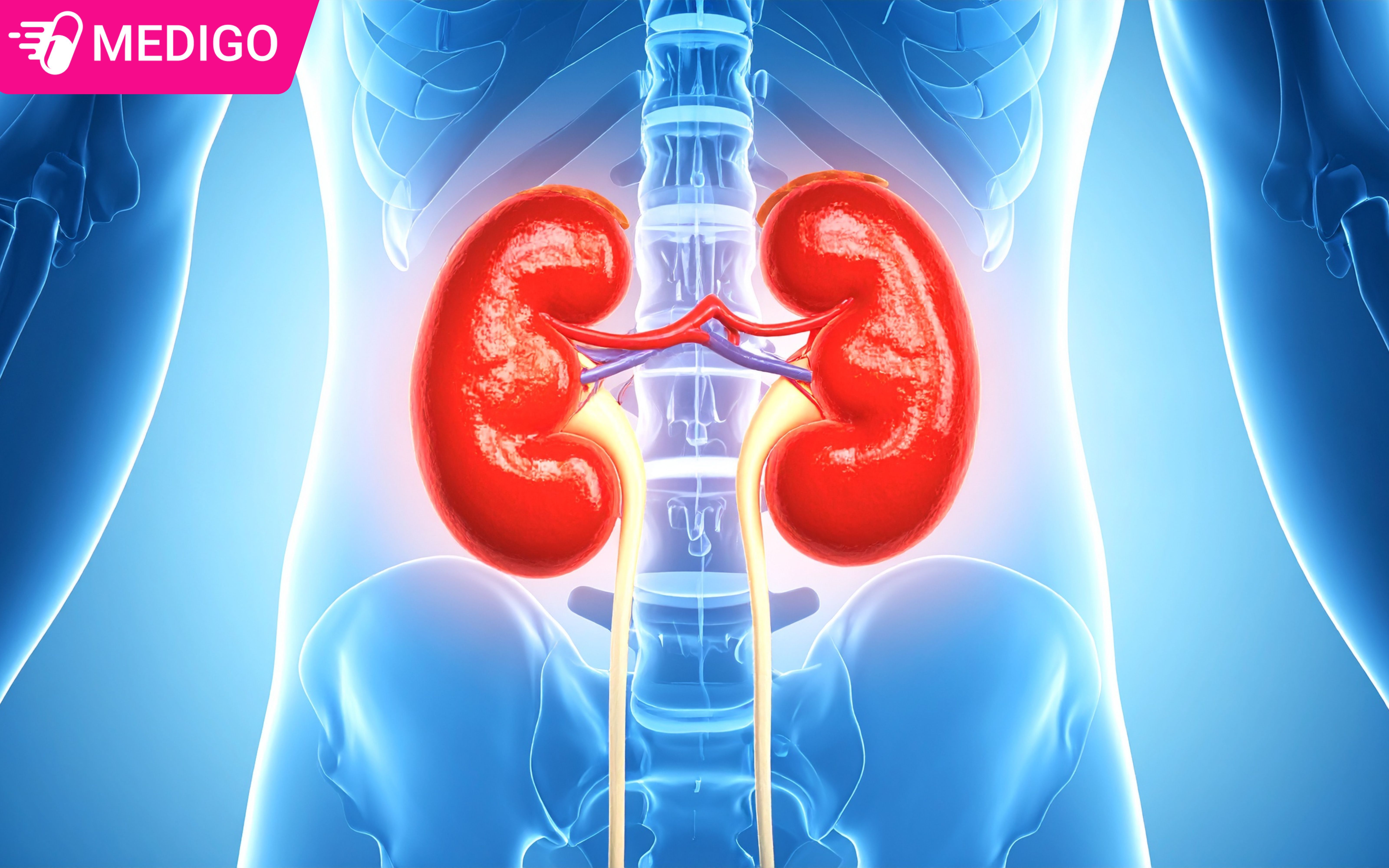 Tong-quan-ve-suy-than-cap