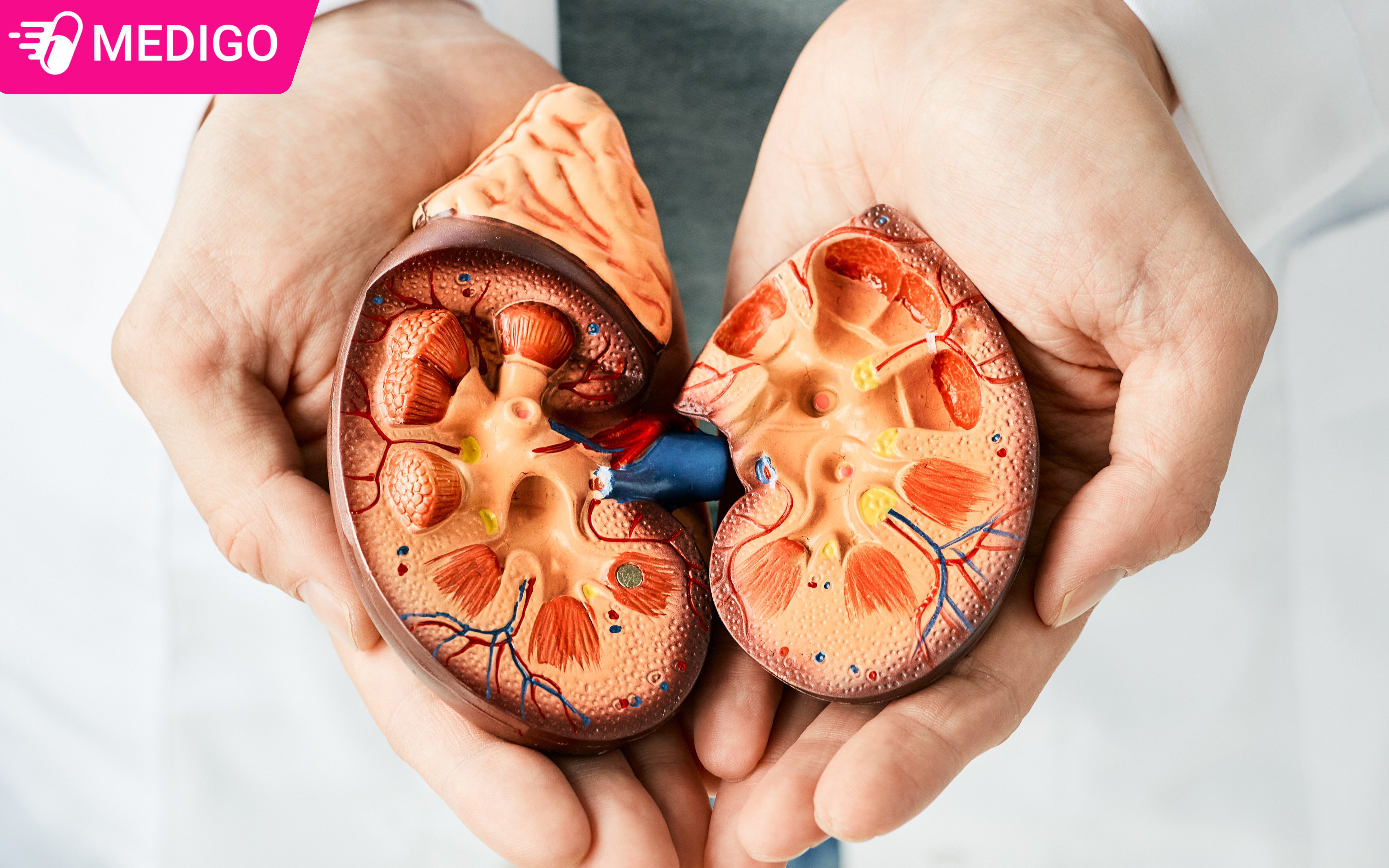 Dieu-tri-tinh-trang-suy-than-cap