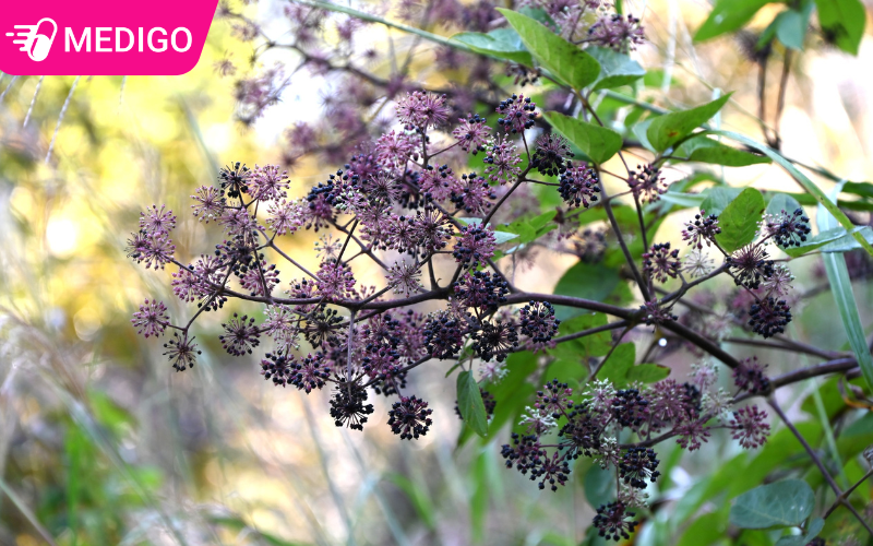 Mot-so-tac-dung-phu-co-the-gap