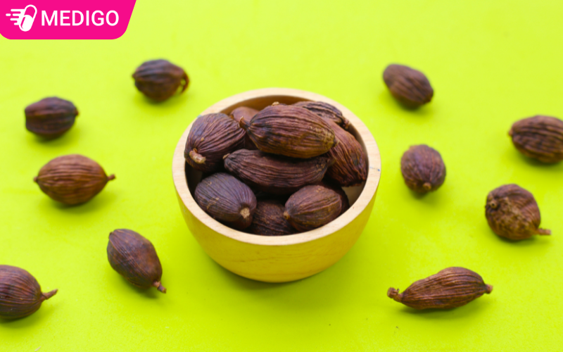 Bạch đậu khấu vị thuốc Đông y giúp kiện tỳ, hỗ trợ tiêu hóa hiệu quả