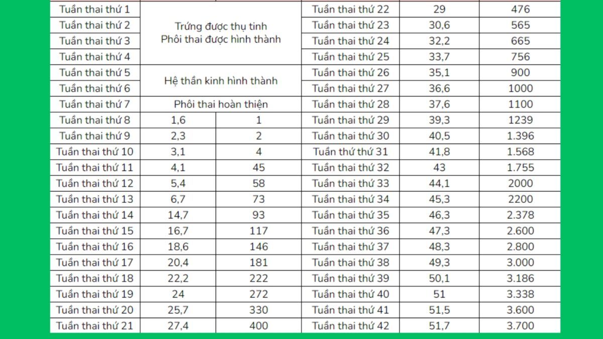 Bảng cân nặng thai nhi theo tuần của trẻ đạt chuẩn của WHO