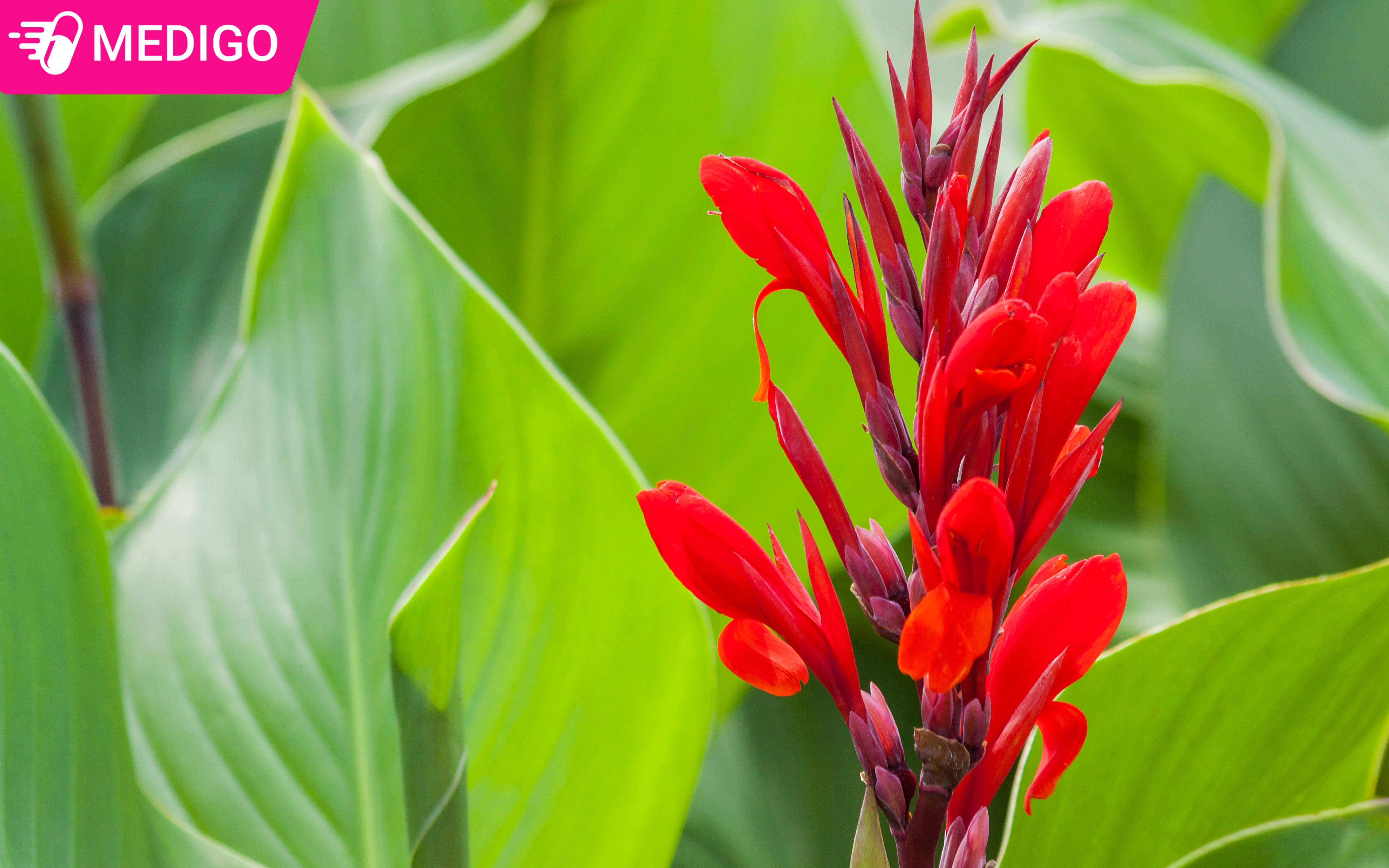 Tong-quan-ve-Dong-rieng-do