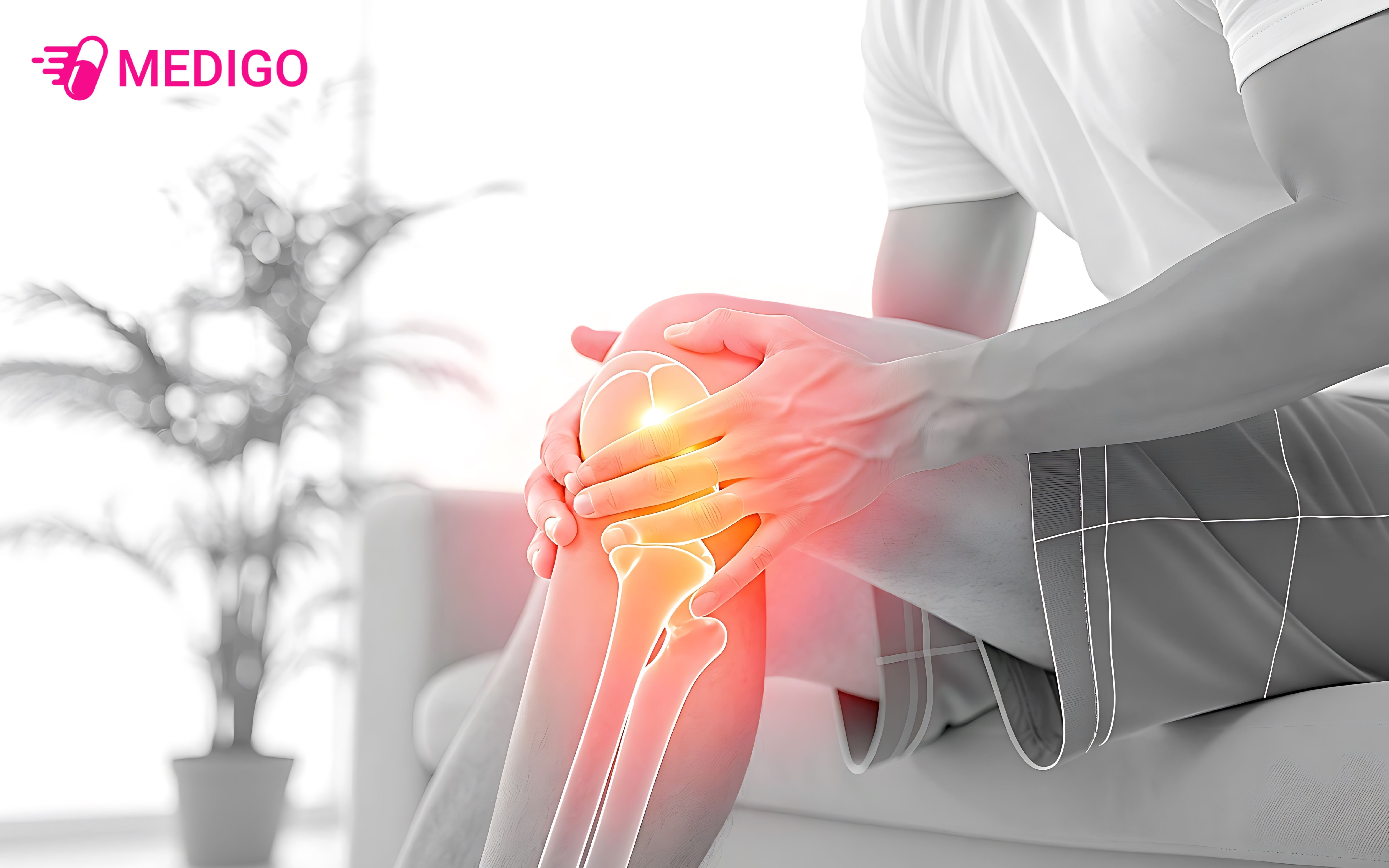 Cay-mat-quy-giup-ho-tro-giam-dau-nhuc-xuong-khop