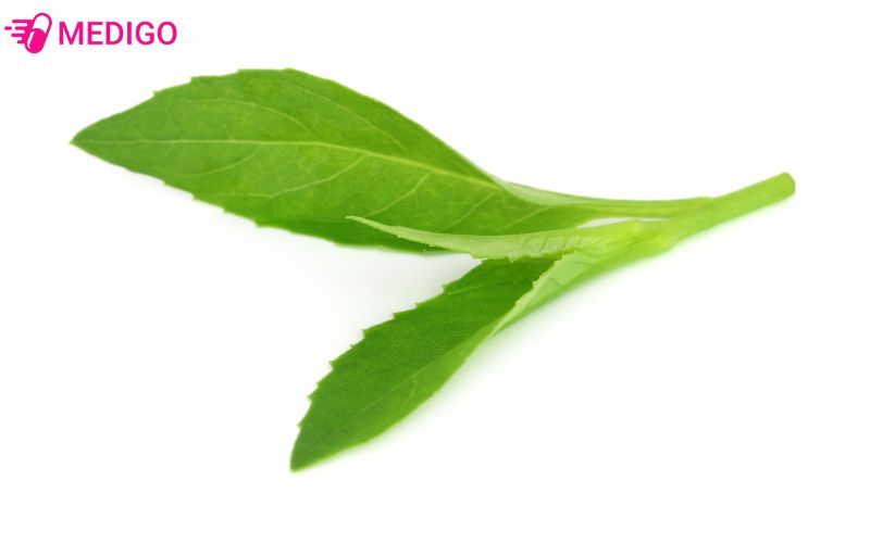 Cay-bau-dat-so-huu-rat-nhieu-thanh-phan-dinh-duong-gia-tri