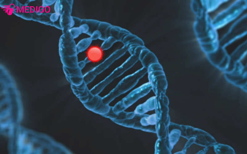 Yeu-to-di-truyen-gen-dot-bien-cung-la-nguyen-nhan-gay-ung-thu-vu