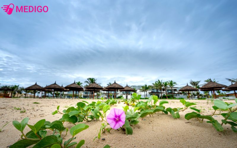 Rau-muong-bien-thuong-duoc-tim-thay-doc-cac-bo-bien-