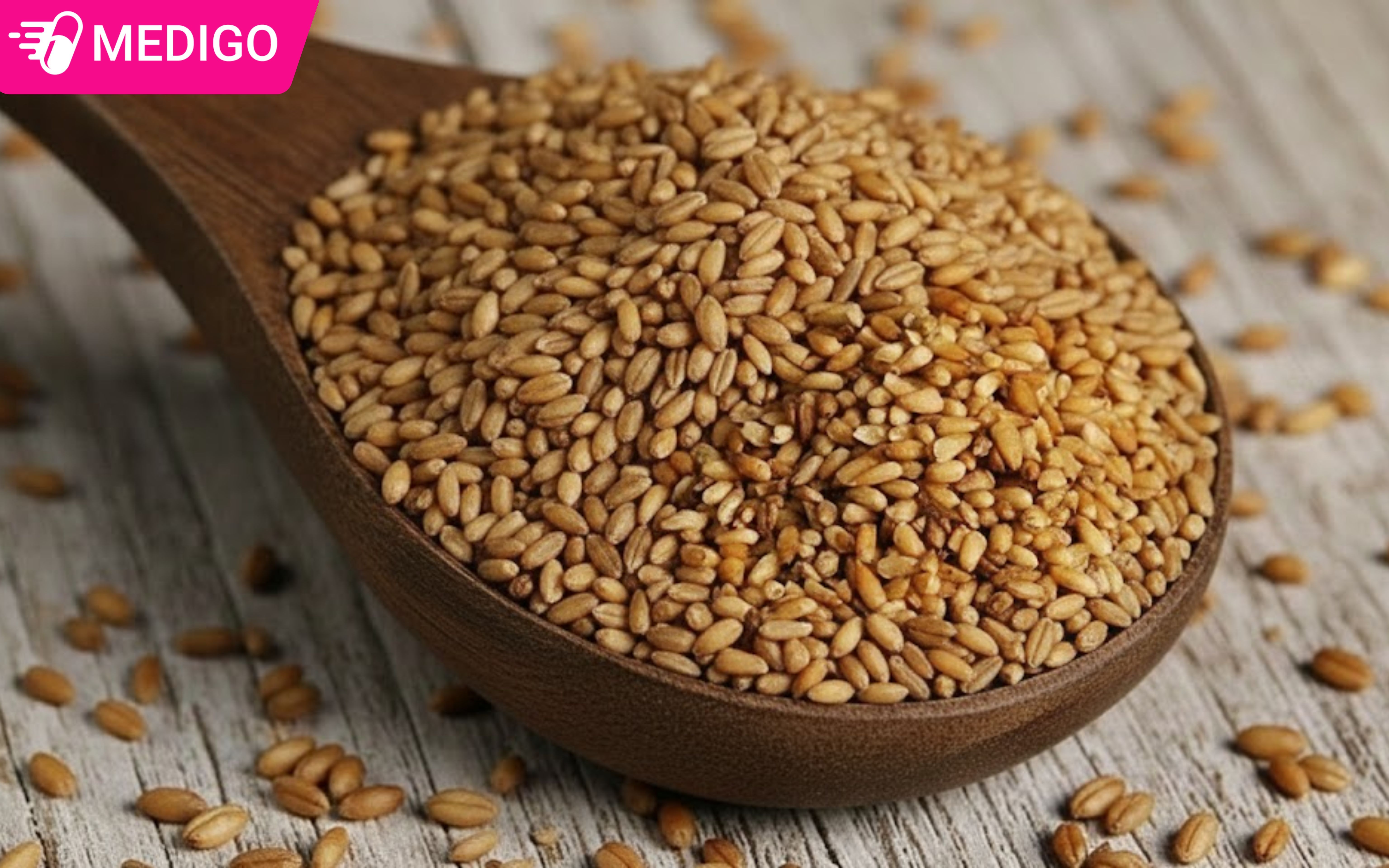 4 điều cần biết về Bá tử nhân: Vị thuốc an thần và nhuận tràng trong Đông y