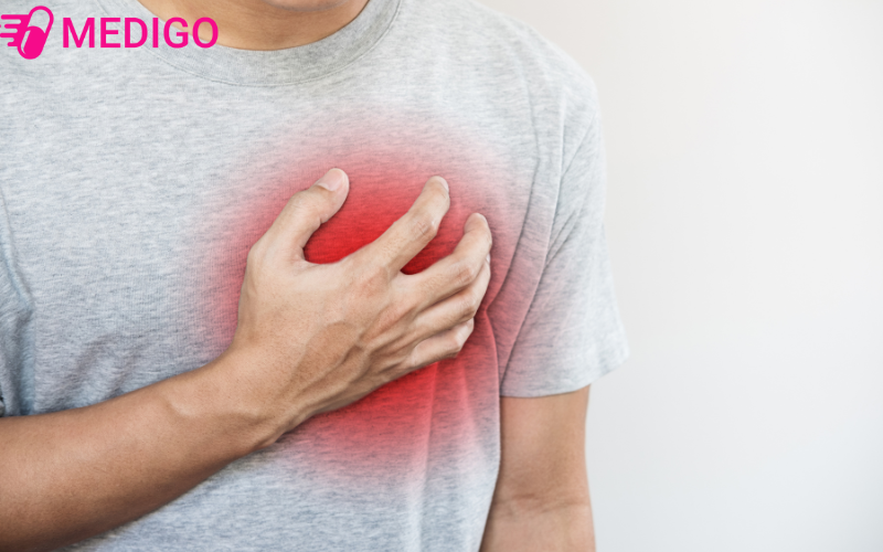 Cay-anh-tuc-con-giup-chua-benh-tim-mach