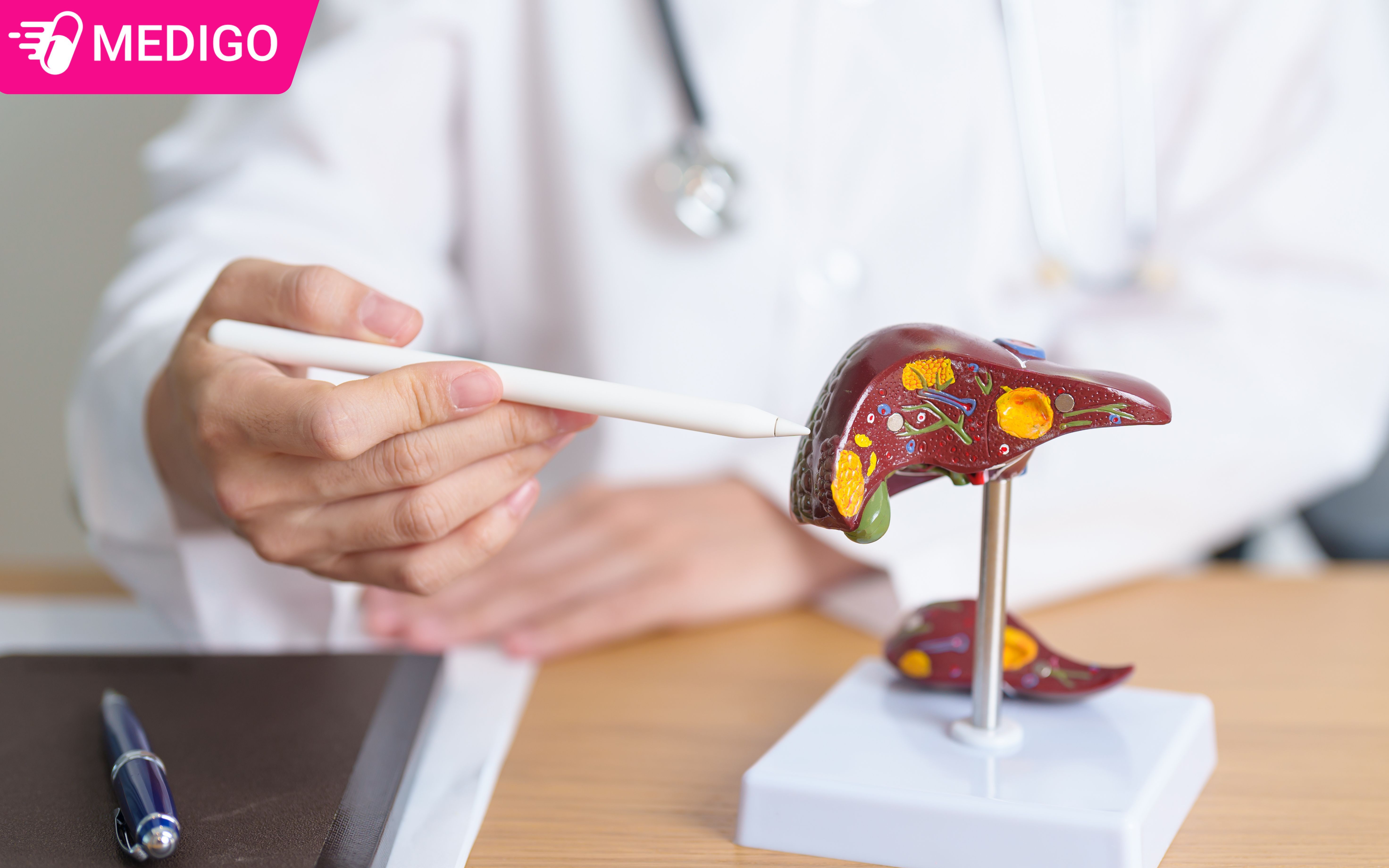 Co-man-trau-ho-tro-viem-gan