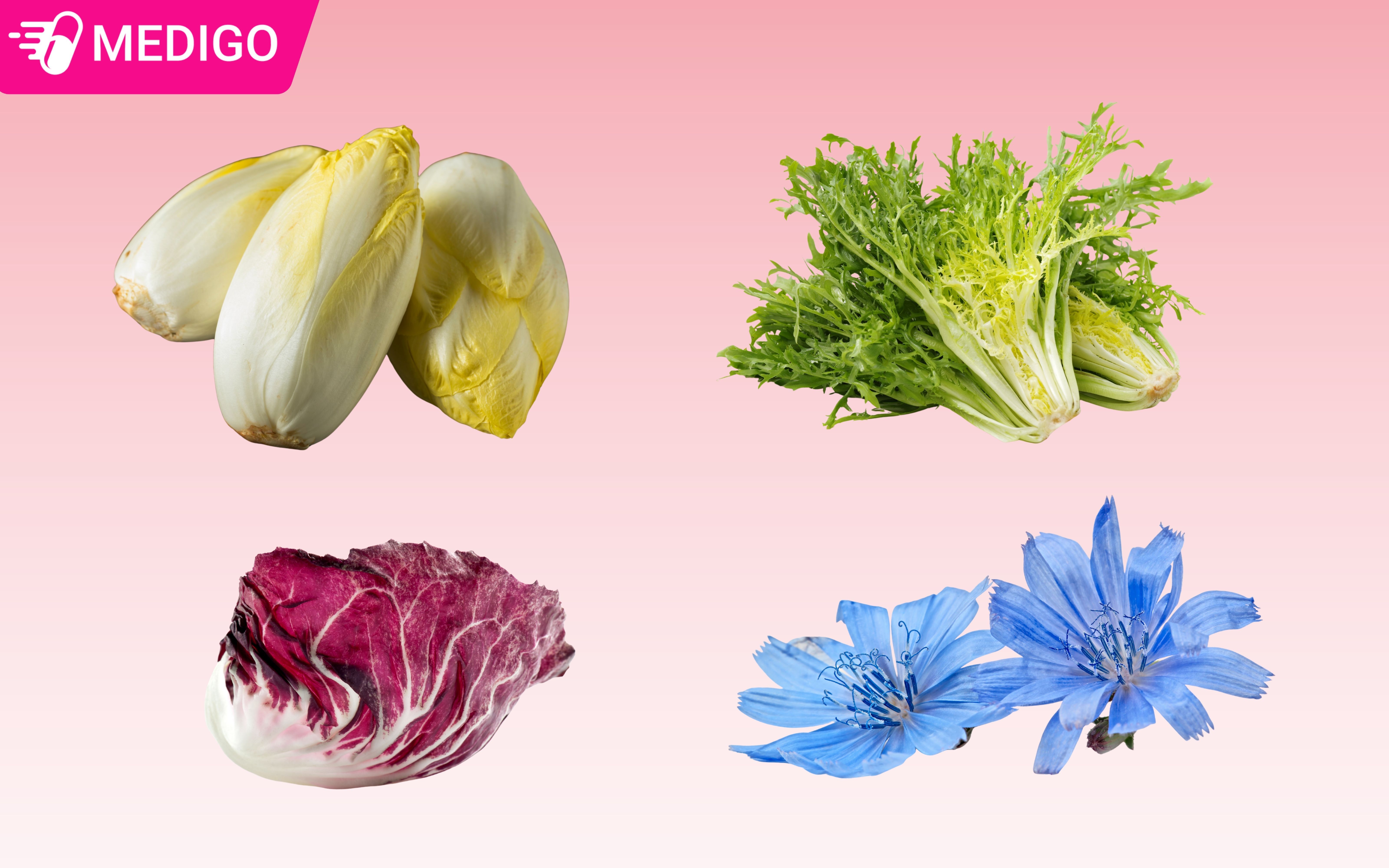 Mot-so-loai-chicory-pho-bien