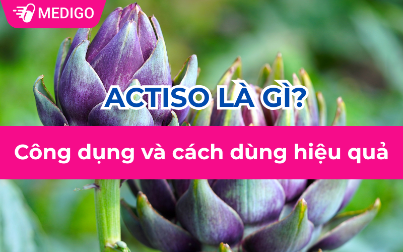 Actiso là gì?Công dụng và cách dùng hiệu quả