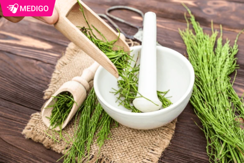 Co-duoi-ngua-tuoi-gia-nat