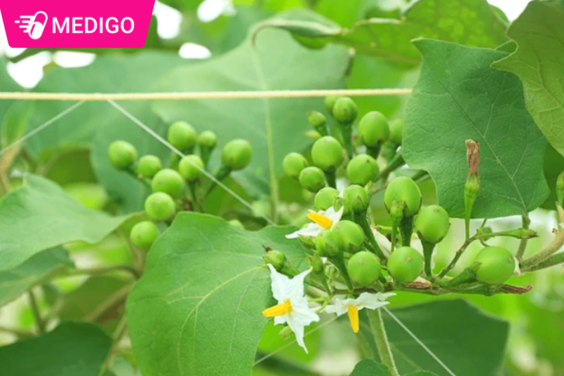 Cac-thanh-phan-hoa-hoc