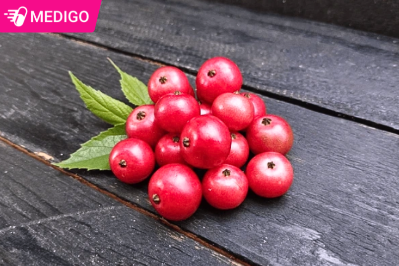 Cây Trứng Cá: Từ loài cây che bóng mát đến kho báu dược tính bất ngờ