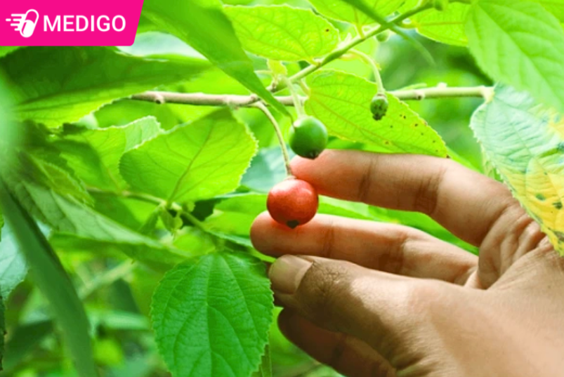 Khi-su-dung-Trung-Ca-can-can-trong