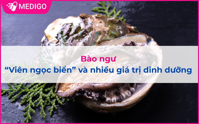 Bào ngư - “Viên ngọc biển” và nhiều giá trị dinh dưỡng 