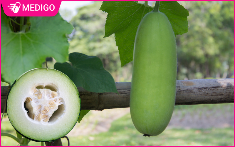 Bí xanh và những công dụng tốt cho sức khỏe không phải ai cũng biết