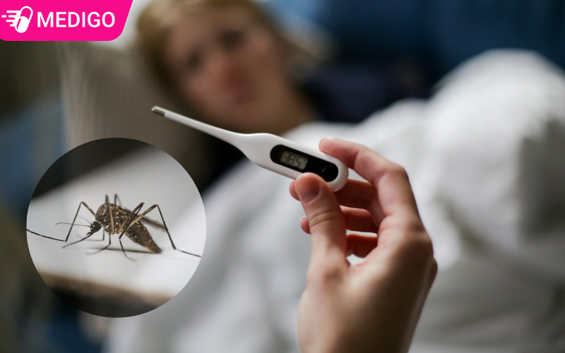 Sốt Xuất Huyết Giữa Đêm: Nguyên Nhân Khó Ngủ và Cách Giảm Triệu Chứng