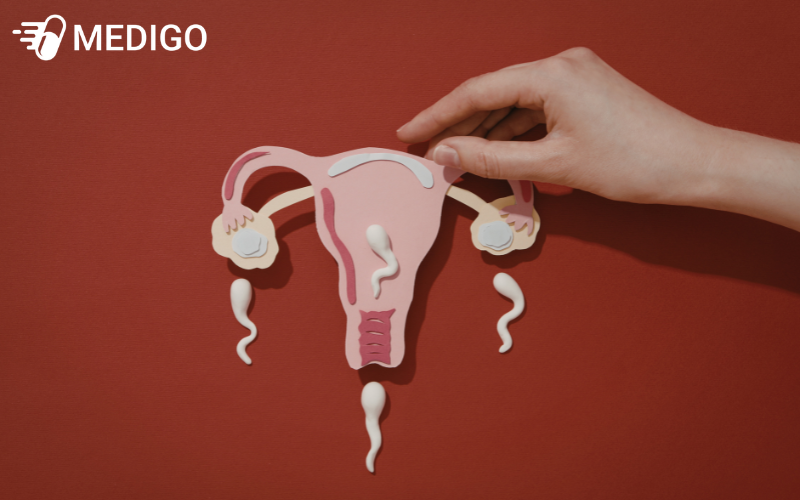 Bo-ket-tay-Anh-huong-den-kha-nang-sinh-san-o-cai