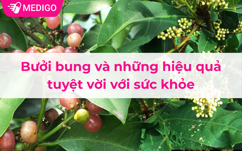 Bưởi bung và những hiệu quả tuyệt vời với sức khỏe
