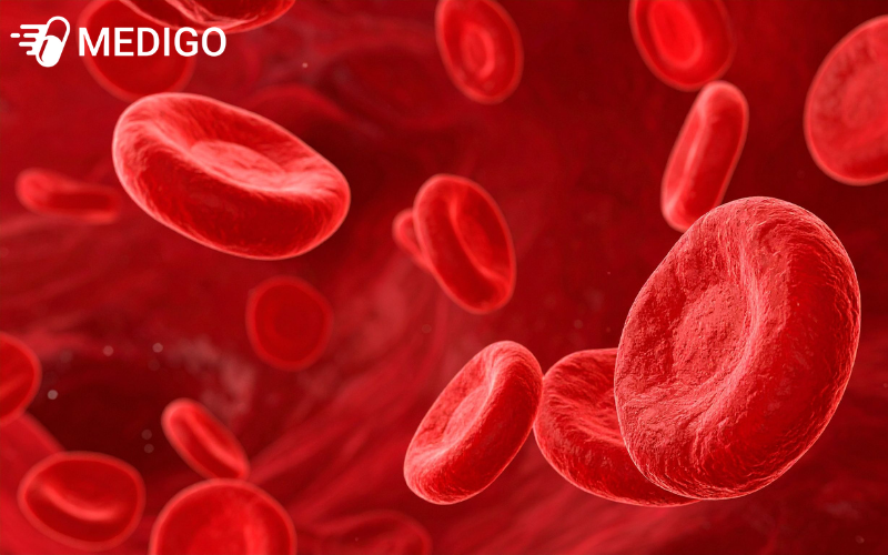 Cam-thao-nam-giup-ho-tro-giam-duong-huyet-tang-hong-cau-thuc-day-lam-lanh-vet-thuong