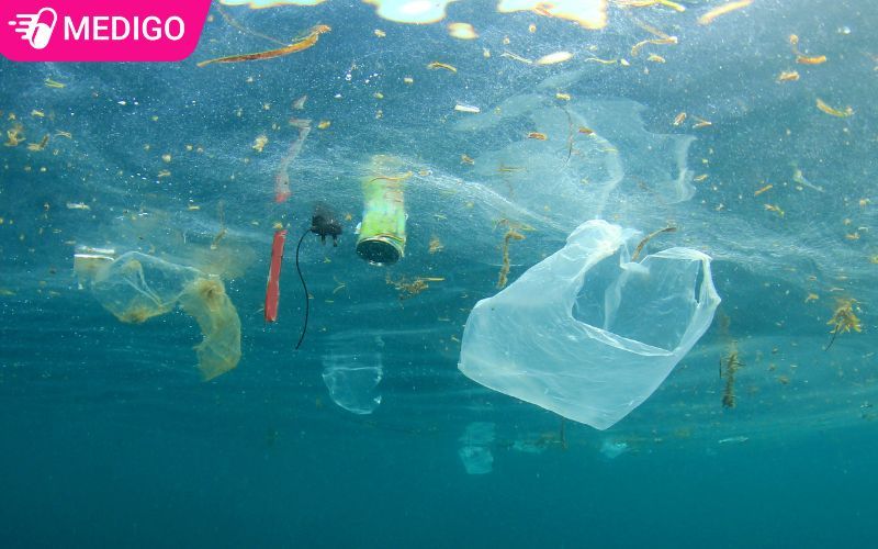 Da-so-cac-hat-vi-nhua-xuat-phat-tu-cac-rac-thai-bi-ra-hoac-bi-phan-huy