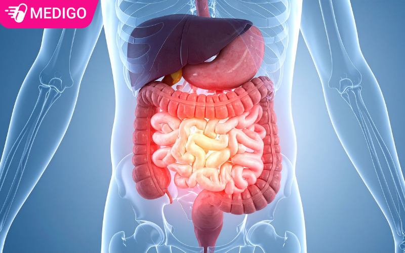 Dau-da-day-la-con-dau-tren-ron-va-duoi-xuong-uc