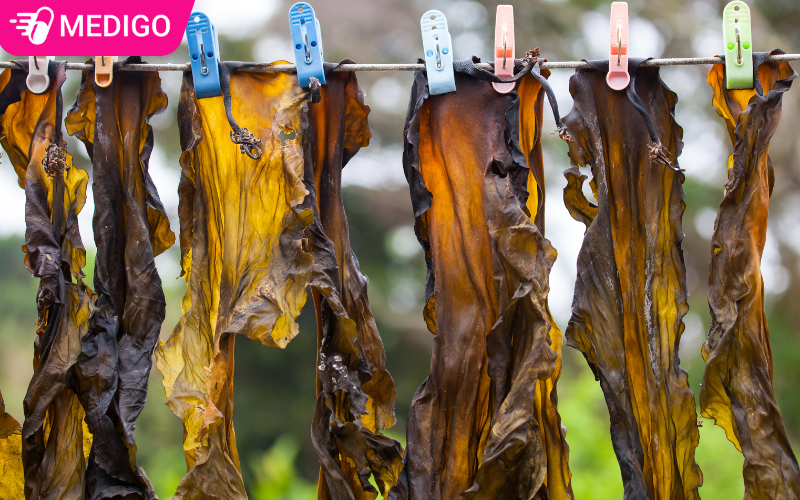 Loai-cay-nay-thuc-chat-la-mot-loai-tao-nau