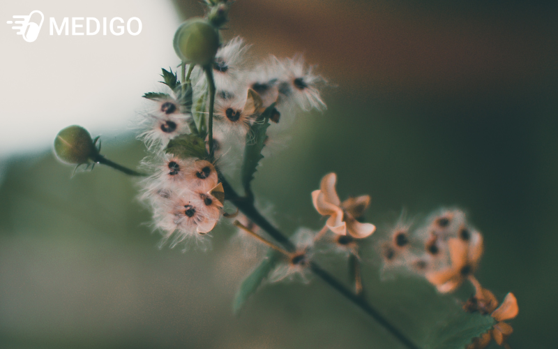 Dac-diem-cua-Cam-thao-nam