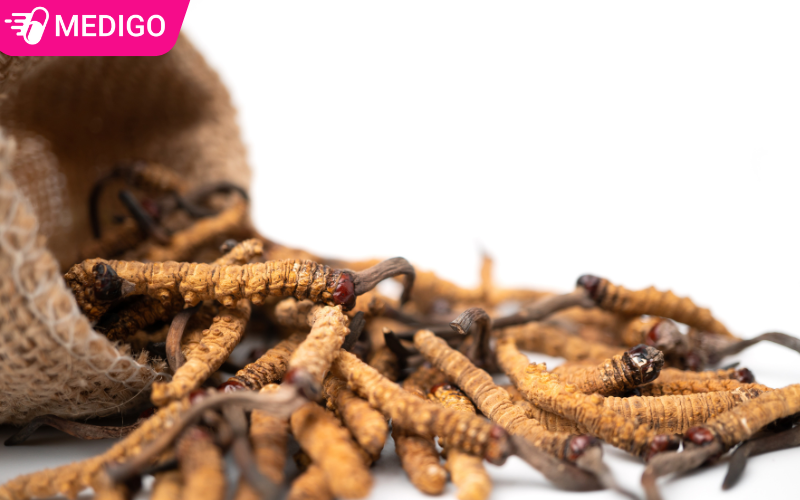 Đông trùng hạ thảo: Cách dùng đúng để không lãng phí tiền triệu 