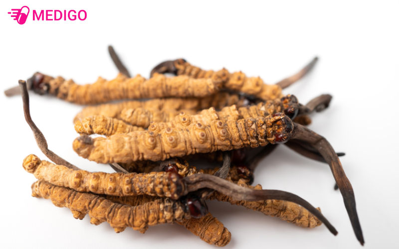 Dong-trung-ha-thao-chua-da-dang-thanh-phan-sinh-hoc 