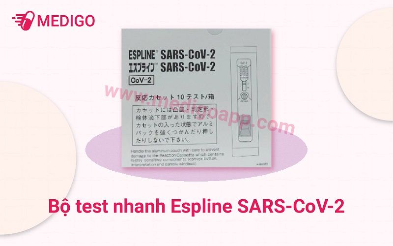 Espline-SARS-CoV-2.jpg