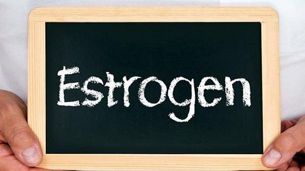 Estrogen: Tác dụng và 5 lợi ích của nó