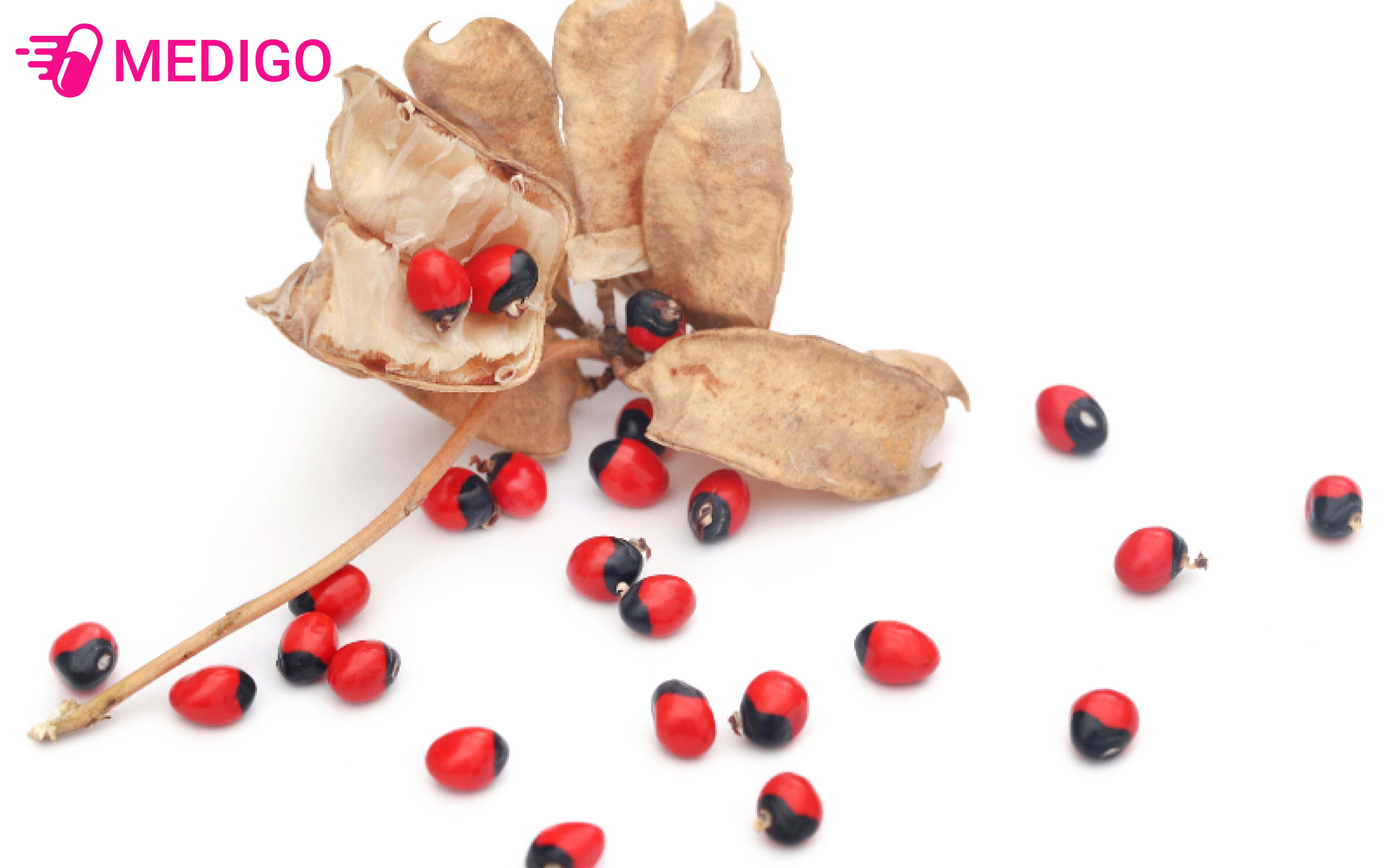 Hat-cay-cam-thao-day-co-doc-to