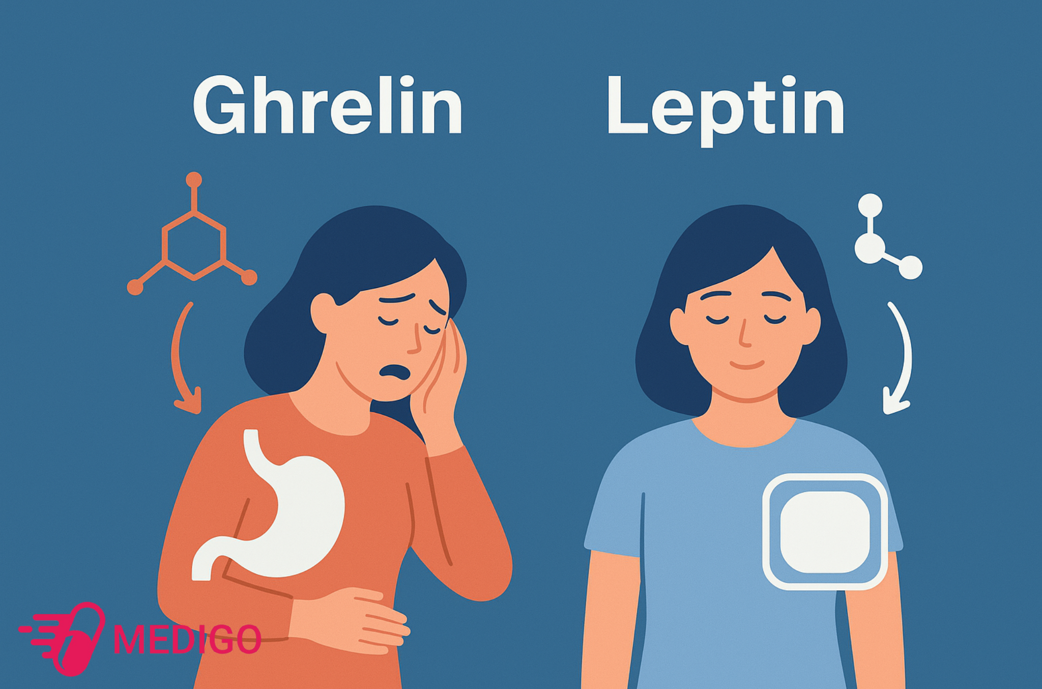 Hormone-doi-va-no-co-moi-lien-ket-chat-che-voi-nhau