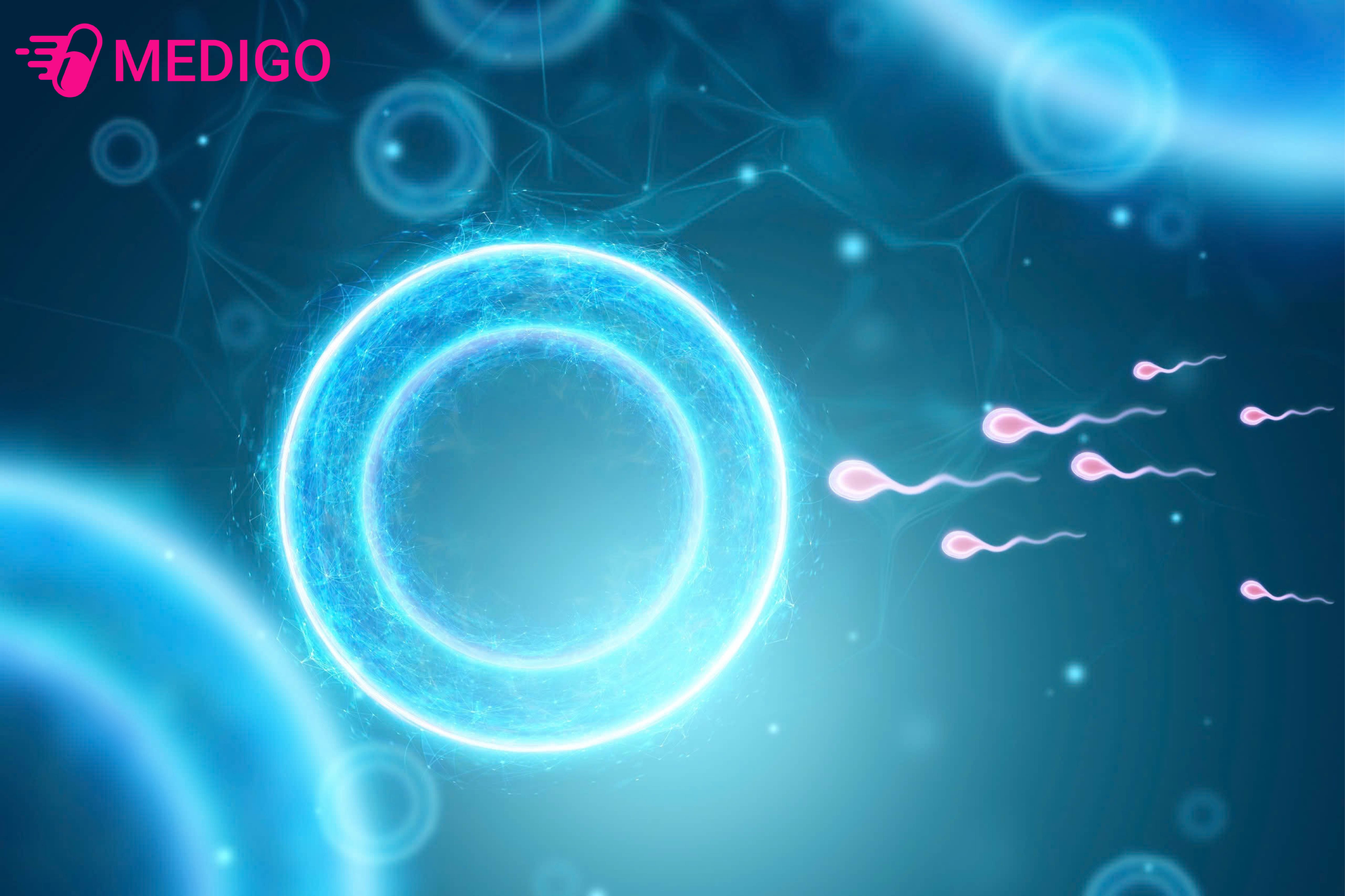 Kha-nang-di-chuyen-cua-tinh-trung