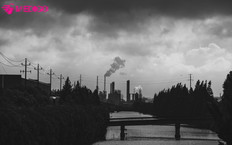 Ung-thu-vu-mot-phan-la-do-anh-tu-yeu-to-moi-truong-ben-ngoai