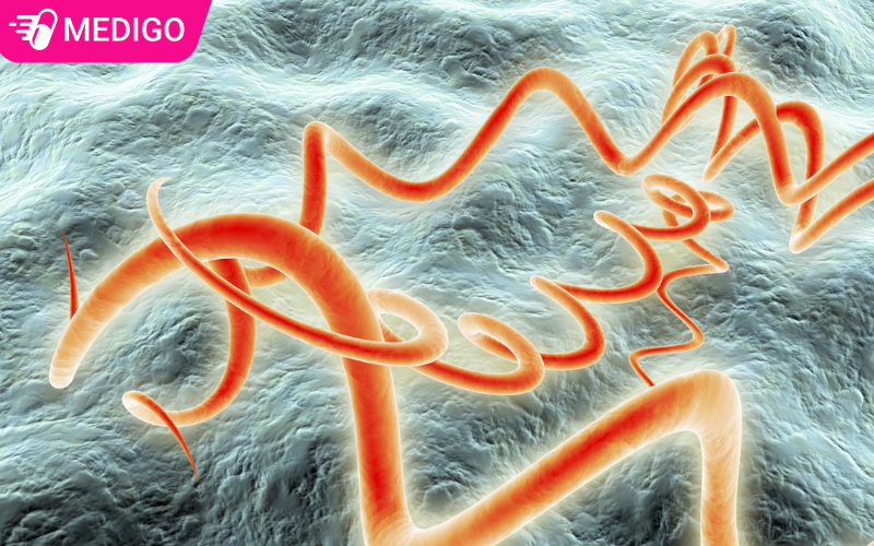 Bệnh giang mai là gì? 7 dấu hiệu cảnh báo bệnh lây truyền qua đường tình dục nguy hiểm