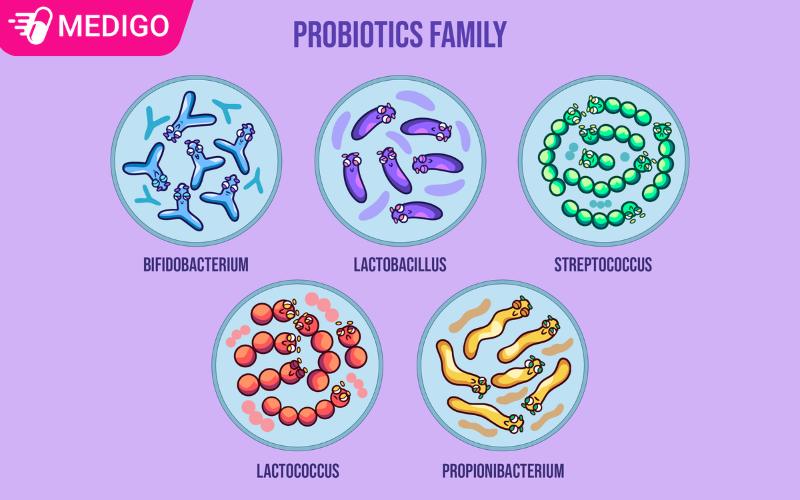 Mot-so-chung-vi-khuan-co-loi-cho-duong-ruot