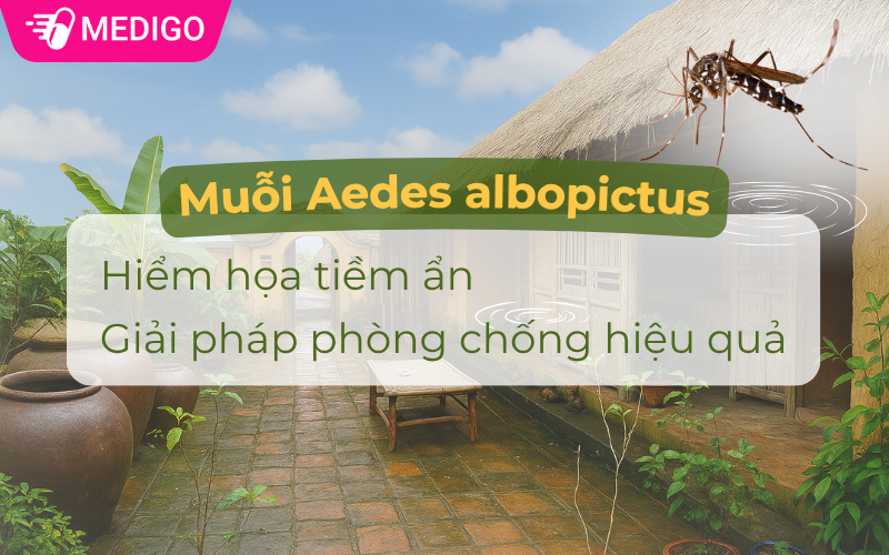 Muỗi Aedes albopictus: Hiểm họa tiềm ẩn và Giải pháp phòng chống hiệu quả