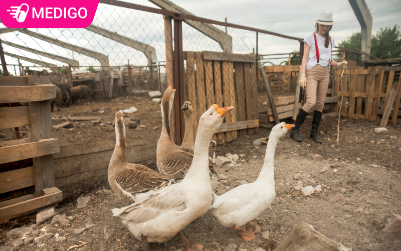 Giam-sat-suc-khoe-cua-dan-la-cach-hieu-qua-de-phat-hien-ra-benh