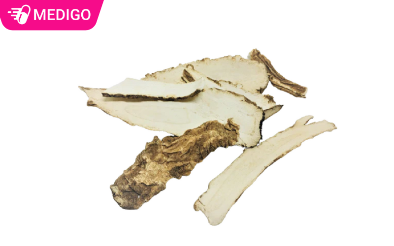 Cay-bach-chi-co-nhieu-tac-dung-trong-y-hoc