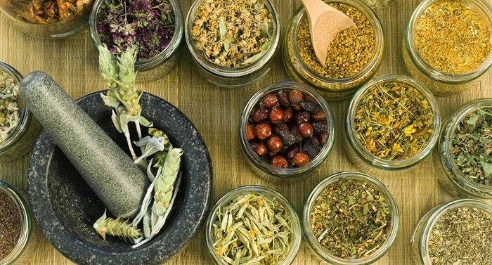 Những bài thuốc nam điều trị tăng mỡ máu