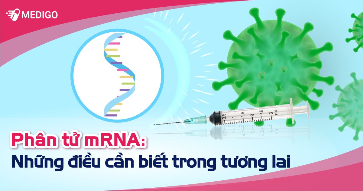 Phân tử mRNA: Bước đột phá trong tương lai