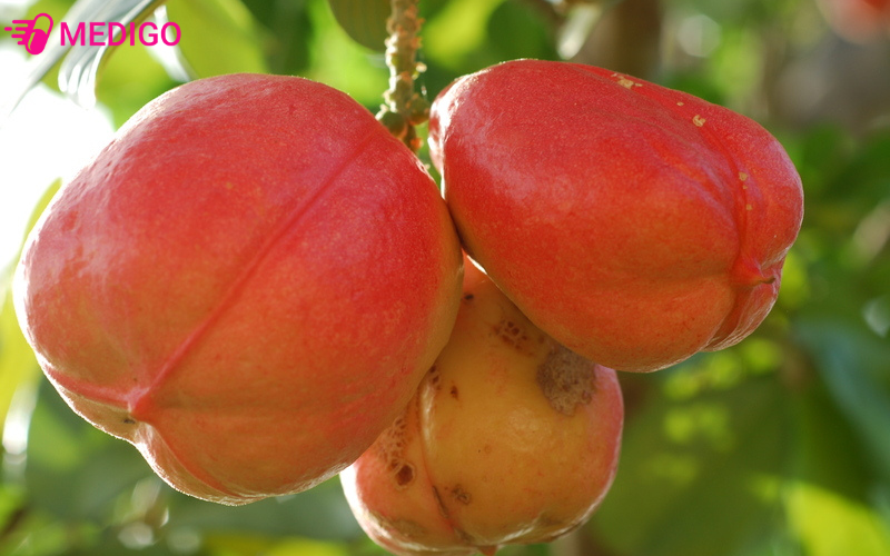 Qua-A-ke-chua-chin-co-the-gay-nen-tinh-trang-ngo-doc-neu-an-phai