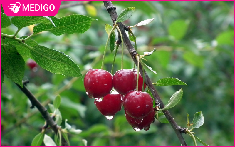 Qua-anh-dao-co-luong-chat-xo-doi-dao