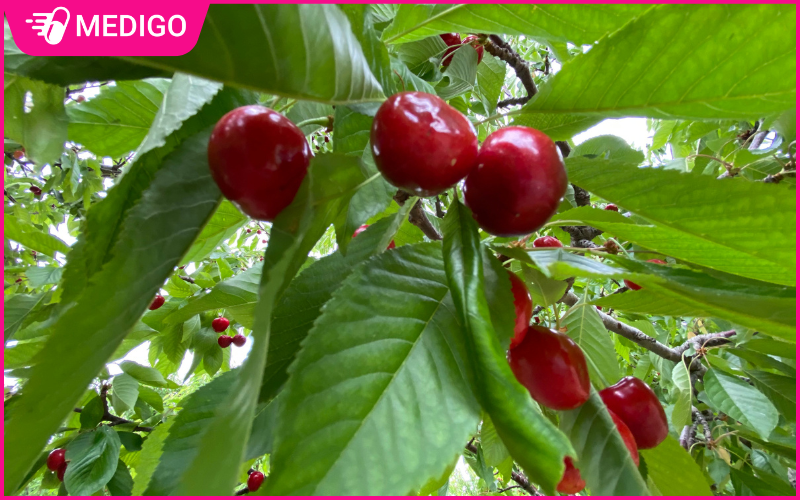 Qua-anh-dao-ho-tro-kiem-soat-can-nang-rat-tot