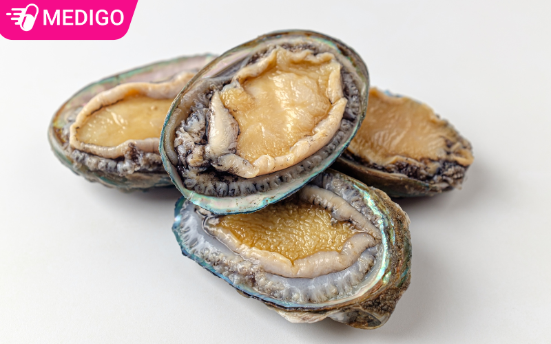 Bào ngư là gì? — Top 4+ Công dụng hữu ích cho sức khỏe